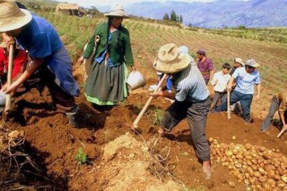 Bono rural